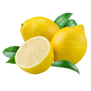 FRUITS - LEMONS REPACK 6 EA - Catering, Hotels, Fine Dining