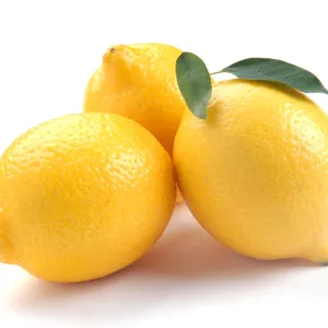 FRUITS - LEMONS CASE 113 EA - Catering, Hotels, Fine Dining