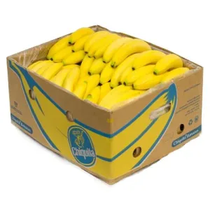 FRUITS –   BANANAS #1 CASE 40 LBS - Wholesale Foodservice Supply | Absolute Food Service