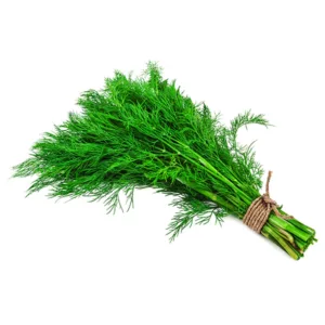 VEGETABLES – DILL WEED CASE 24 EA - Wholesale Foodservice Supply | Absolute Food Service