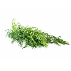 VEGETABLES – DILL WEED REPACK 3EA - Wholesale Foodservice Supply | Absolute Food Service