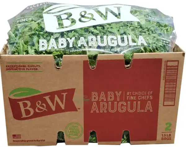 VEGETABLES – FRESH BABY ARUGULA 2×1.5 LBS CASE - Wholesale Foodservice Supply | Absolute Food Service