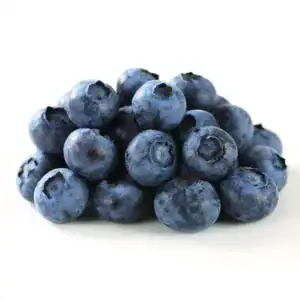 FRUITS – BLUEBERRIES 1LB - Wholesale Foodservice Supply | Absolute Food Service