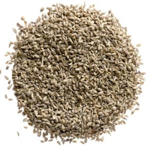 BULK – ANISE SEED WHOLE 2.27KG - Wholesale Foodservice Supply | Absolute Food Service