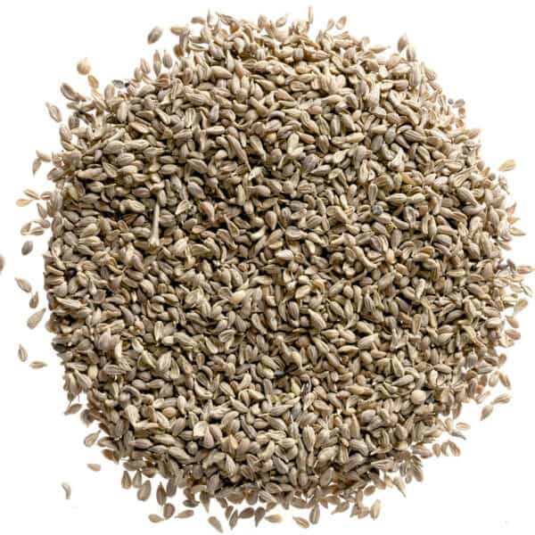 BULK – ANISE SEED WHOLE 2.27KG - Wholesale Foodservice Supply | Absolute Food Service