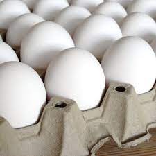 LARGE ORGANIC EGGS CTN/CS - Wholesale Foodservice Supply | Absolute Food Service