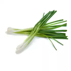 VEGETABLES - ONIONS GREEN REPACK 6 EA
