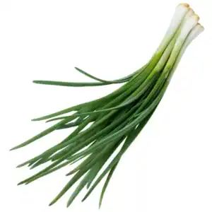 VEGETABLES - ONIONS GREEN CASE 48 EA CASE