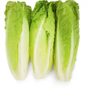 VEGETABLES - LETTUCE ROMAINE HEARTS CASE 12 X 3 EA